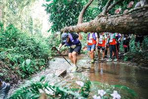 BIB: 
                            <button type="button" onclick="openModal(25516698)" class="btn btn-primary btn-sm float-right btn-popup" data-toggle="modal" data-target=".modal-high-quality">
                        <i class="fas fa-shopping-cart"></i> Add to Cart
                    </button>
                                            <button type="button" onclick="isThisMe(25516698, true)" class="btn btn-success btn-sm float-right btn-popup btn-isme hidden" data-toggle="tooltip" data-placement="bottom" title="นี่คือรูปของคุณใช่ไหม คลิกที่นี่เพื่อเอาเข้าอัลบั้ม">
                        <i class="fas fa-plus"></i> Add to album
                    </button>
                    <button type="button" onclick="isThisMe(25516698, false)" class="btn btn-warning btn-sm float-right btn-popup btn-isnotme hidden">
                        <i class="fas fa-ban"></i> Remove from album
                    </button>